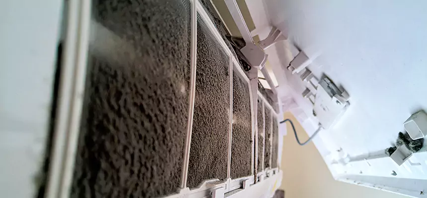 Preventive Air Duct Bacteria Removal in Rapid City