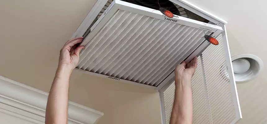 Preventive Cockroach-Proofing for Ducts in Rapid City