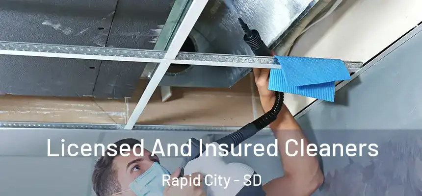 Licensed And Insured Cleaners Rapid City - SD