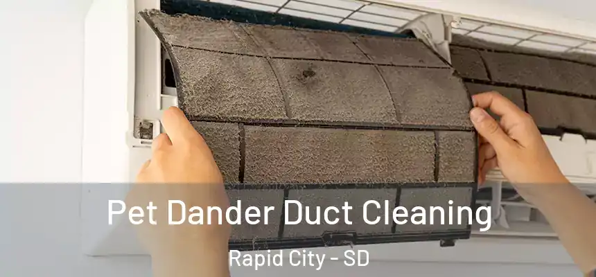 Pet Dander Duct Cleaning Rapid City - SD