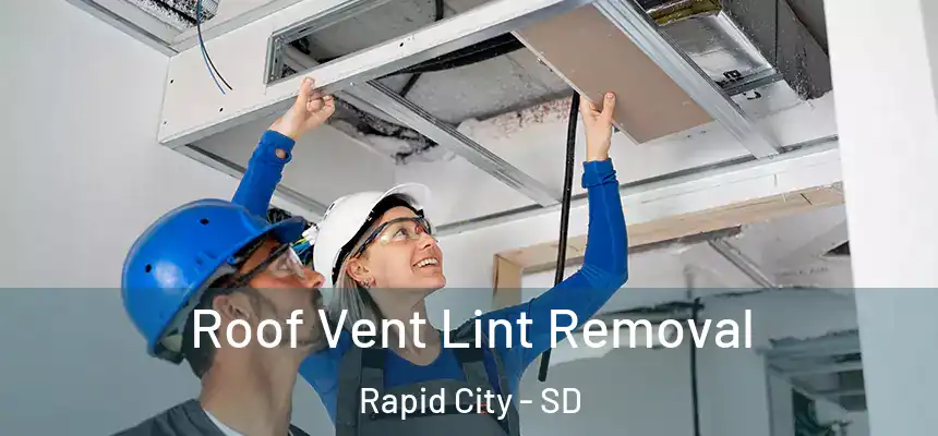 Roof Vent Lint Removal Rapid City - SD