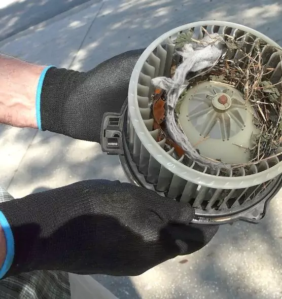 About Air Duct Rat Removal in Rapid City, SD