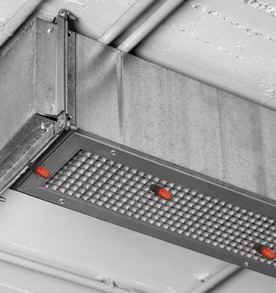 Affordable Insect Removal from Air Ducts in Rapid City, SD