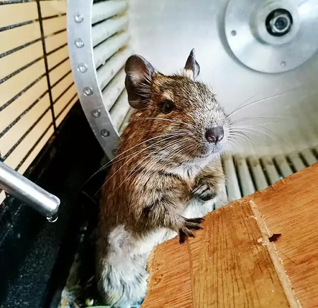 Why Homeowners & Businesses Trust Us Rapid City, SD